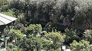 MARRAKECH Ville de Reve