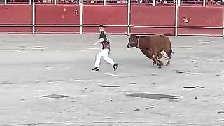 haciendo de las suyas en la vall