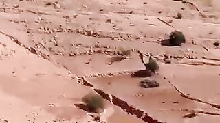 اجمل مناضير