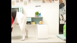 Animal lovers