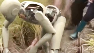 Rebot is doing work in fields.   Watch out.