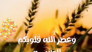 صباح الخير