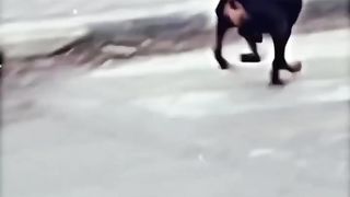 نحن لا نخاف إلا الله