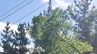 Video en el monte. Mantenimiento