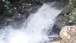 Naturaleza.paisaje.trabajo forestal