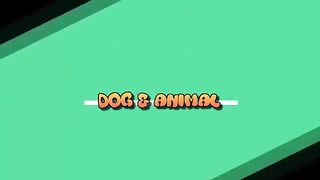 Animal lovers