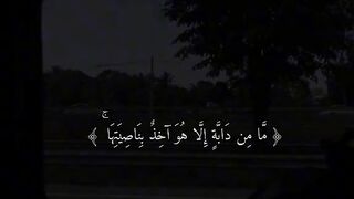 قران_#اجر_#ماهرالمعيقلي_#quran