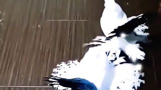 Beauty Overloaded #viral #beauty