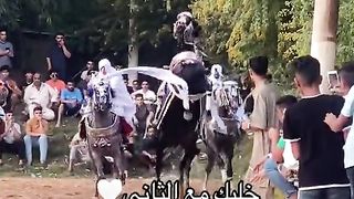 Cheval pur-sang