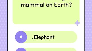 quiz information