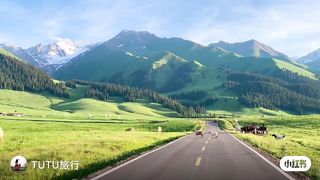 The road of life
