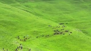 Как красиво этот мир