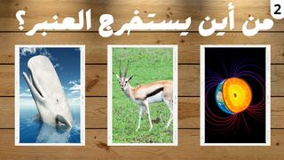 الغاز وأسئلة عامة | 15 سؤال وجواب لاختبار معرفتك وذكائك ???? الغاز للاذكياء????