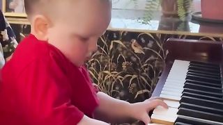 Remarkable Toddler Development Awe-Inspiring Awareness, Curiosity, and Coordination at 1.5 Years