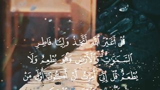 القرأن الكريم