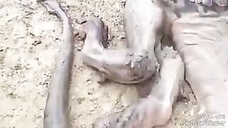 Real Dragon found in Iraq