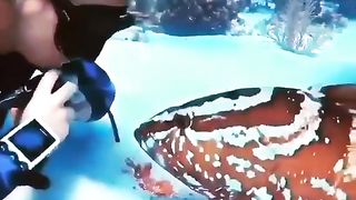 Making some friends