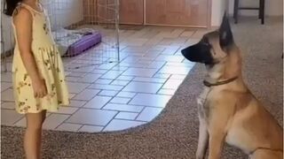 Hide and seek