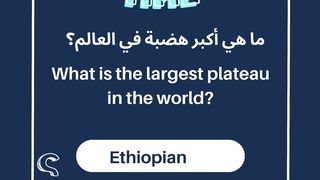 وقت الاختبار Quiz Time