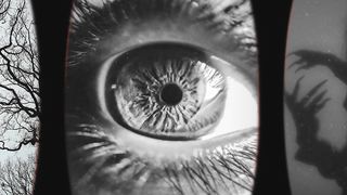 مقاطع انتشرت بطريقه كبيره