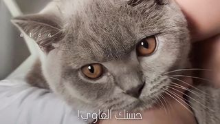 جذبني حسنك الغوي