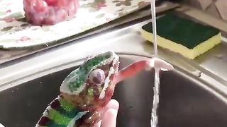 Wash your hands well