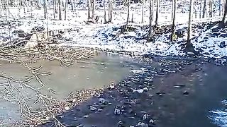 beauty of nature