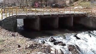 beauty of nature1