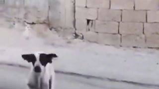 أضحك من قلبك