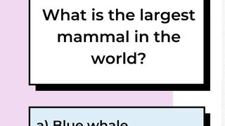quiz time