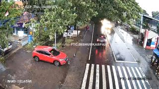 tragedy tree fall