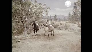 BONANZA - A Quadrilha (Legendado)