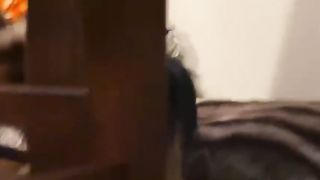 Neatly Arranged Dog Teeth