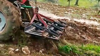 حرث الأرض في فلسطين ???????? ♥ ????????