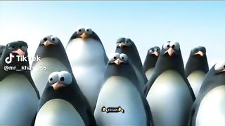 New cartoon animals funny video 2024
