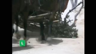 BONANZA - A Testemunha   (Legendado) (