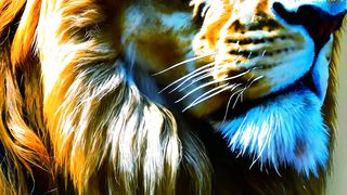 who is a lion ?