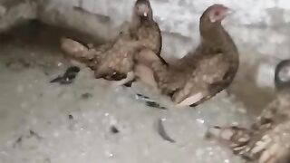 Inhain Meray marnay ka yaqeen