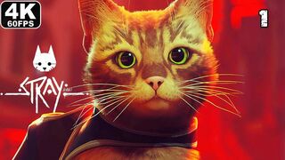 تختيم ستراي القطه #1 STRAY 4K 60FPS