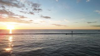 Ocean Surfing Sport