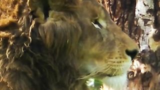 خواطر ملهمه - ان بعد العسر يسر