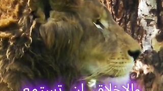 خواطر ملهمه - التربيه و الاخلاق