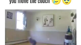 Best Funny Animal Videos Part 2