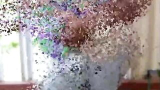Wife's birthday