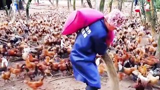 Nice video plz subscribe