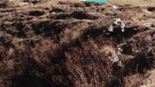 Où se trouve le mont Everest ?