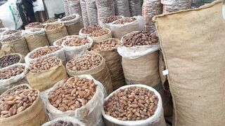 اسعار البلح فى سوق العبور جملة وقطاعى قبل رمضان