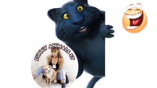 Funniest Cat and Dog videos ???????? Funny Animals Videos 2024 @FunnyAnimalsST #cute #cat #animals #24.