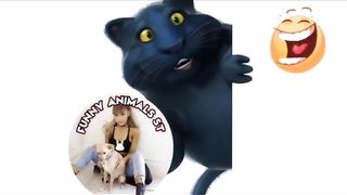 short funny cat videos - Funniest Cats and Dogs videos of day @FunnyAnimalsST #animals #32.