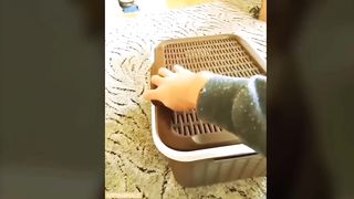 Best Pet Jokes ???????? of the #8 Week 2024 (USA Funny Stories).